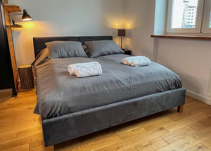 Apartament Kolo Parku